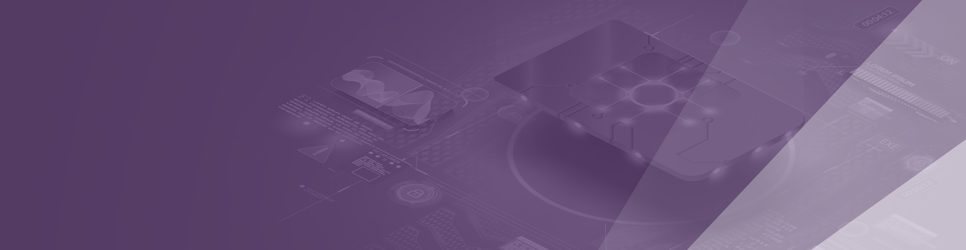 Report Banner Image