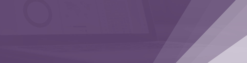 Report Banner Image