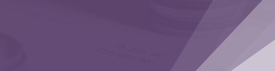 Report Banner Image