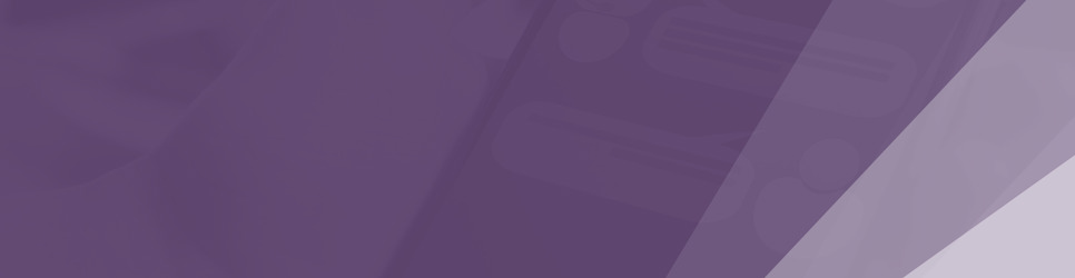 Report Banner Image