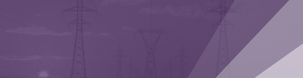 Report Banner Image