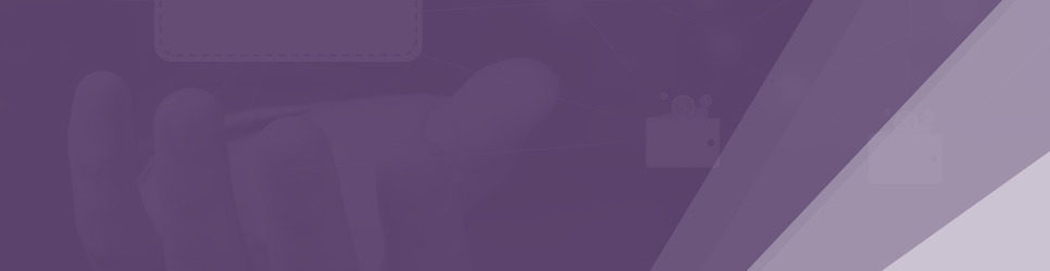 Report Banner Image