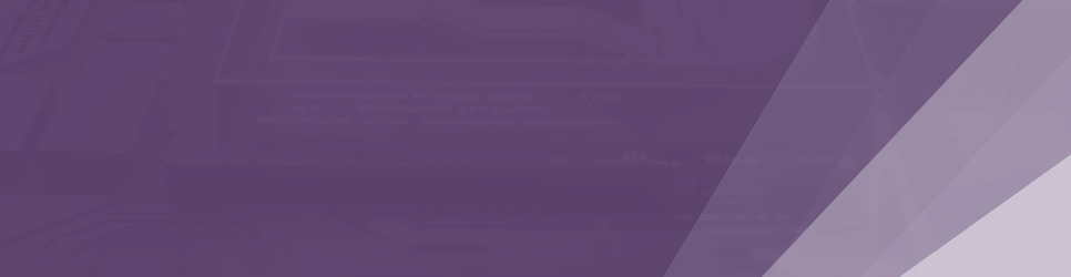 Report Banner Image