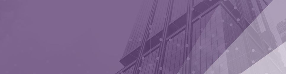 Report Banner Image