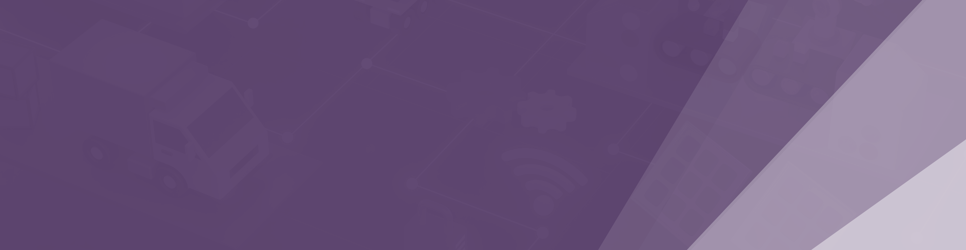 Report Banner Image