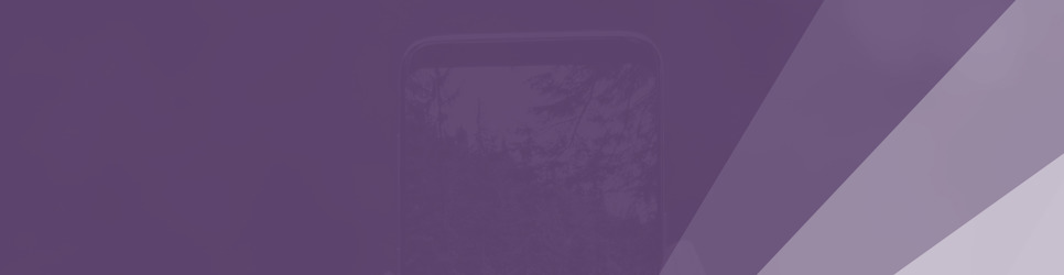 Report Banner Image