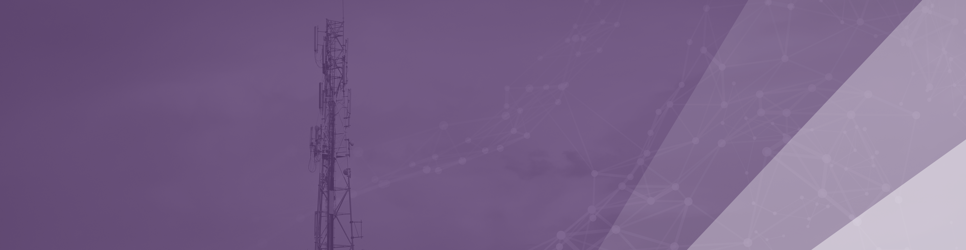 Report Banner Image