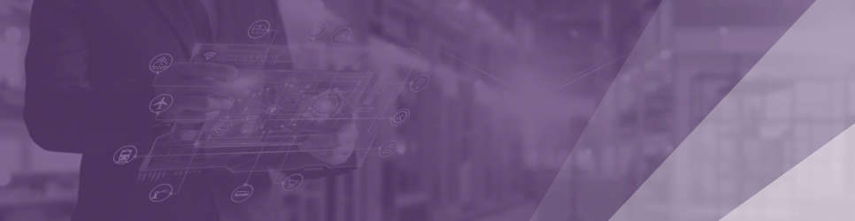 Report Banner Image