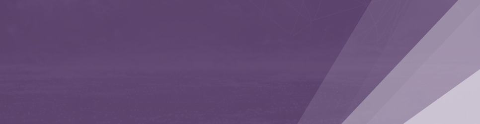 Report Banner Image