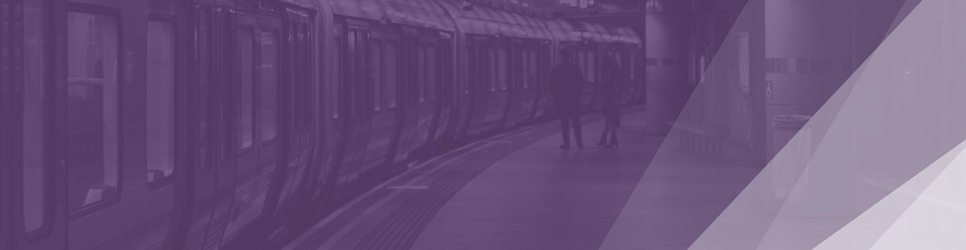 Report Banner Image