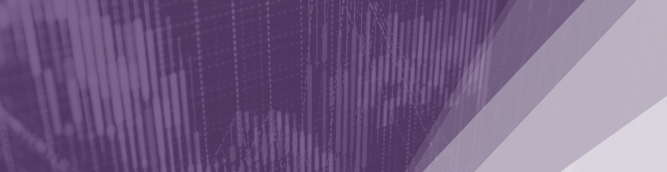 Report Banner Image
