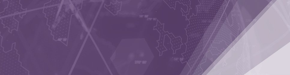 Report Banner Image