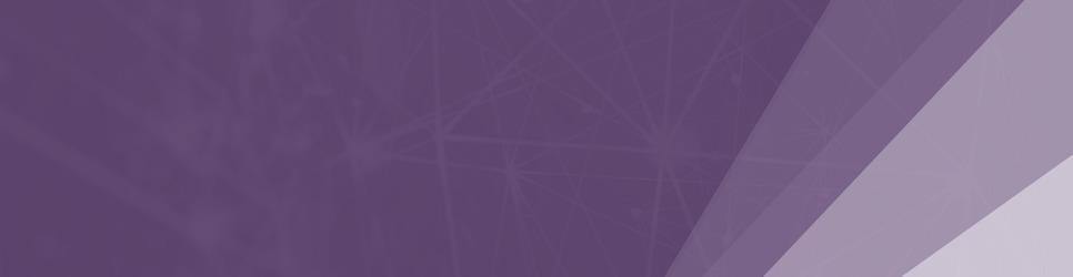 Report Banner Image
