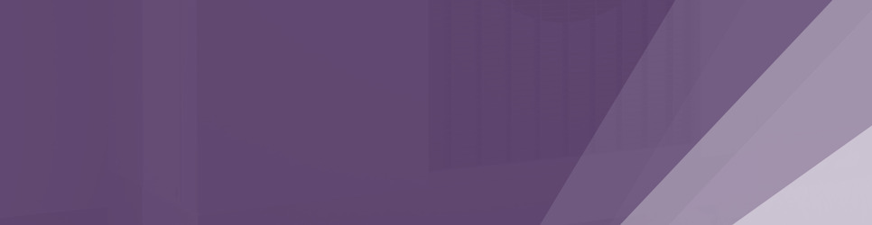 Report Banner Image