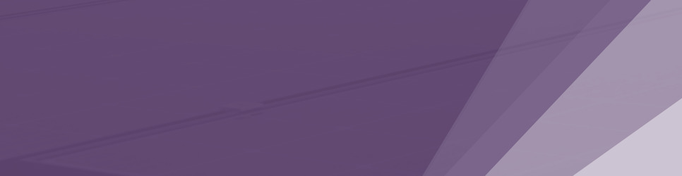 Report Banner Image