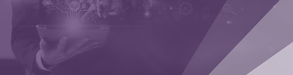 Report Banner Image