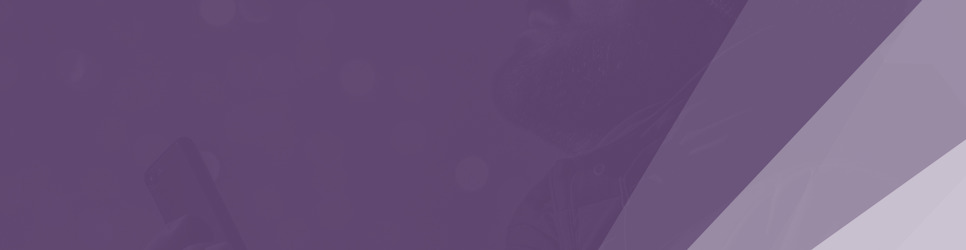 Report Banner Image