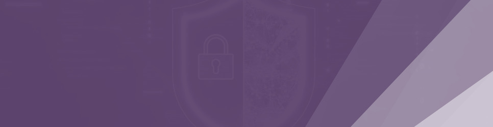 Report Banner Image
