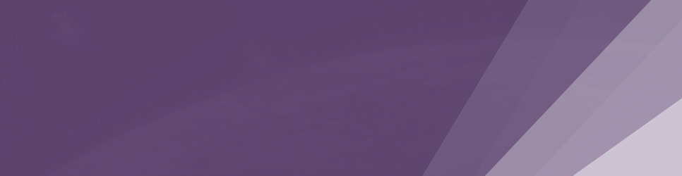 Report Banner Image