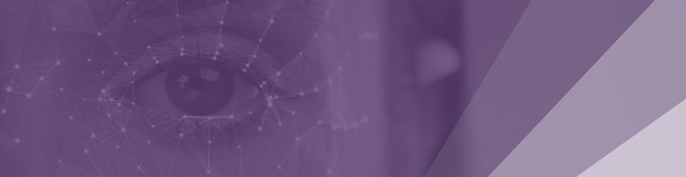 Report Banner Image