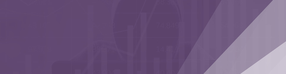 Report Banner Image