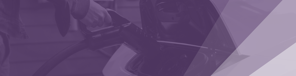 Report Banner Image